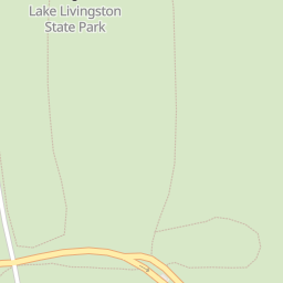 Livingston